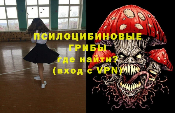 индика Армянск