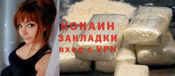 индика Армянск