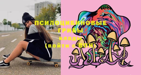 ГАЛЛЮЦИНОГЕННЫЕ ГРИБЫ Арсеньев