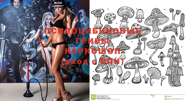 ГАЛЛЮЦИНОГЕННЫЕ ГРИБЫ Арсеньев