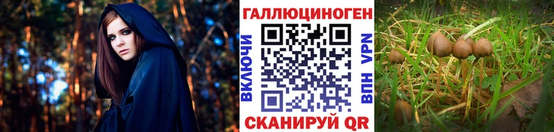 Галлюциногенные грибы Magic Shrooms  купить   Асбест 